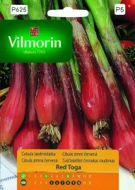 cebula-siedmiolatka-czerwona-red-toga-zimujaca-1g-vilmorin-na-szczypior