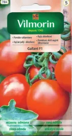 pomidor-galant-szklarniowy-f1-wczesny-nasiona-01g