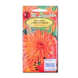 nasiona-nagietek-lekarski-radio-pomaranczowy-2g