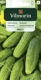 ogorek-gruntowy-wczesny-altaj-f1-3g-vilmoin-kiszenia-konserwowania-spozycia