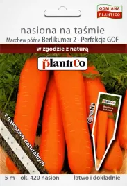 marchew-berlikumer-2-perfekcja-gof-pozna-na-tasmie