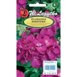 pelargonia-rabatowa-gama-f1-fioletowa-legutko-003g