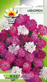 ubiorek-rozowy-iberis-umbellata-05-grma-nasion
