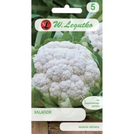 kalafior-bola-de-nieve-x-1g-bialy-wczesny-plenny-na-zbior-jesienny-nasiona