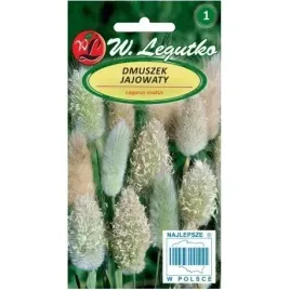 legutko-dmuszek-jajowaty-02g-trawa-ozdobna-puszuste-pedzelki-nasiona