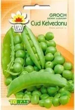 nasiona-groch-luskowy-cud-z-kelvedonu-50-g-wczesny-przetworstwa-i-mrozenia