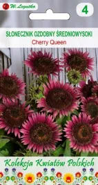slonecznik-ozdobny-cherry-queen-wisniowy-kolor-nasiona-przepiekny-ozdony