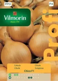 cebula-zolta-chico-f1-2g-vilmorin-wczesna-plenna-profesjonalne-nasiona