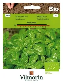 bazylia-wlasciwa-genovese-aromatyczna-1g