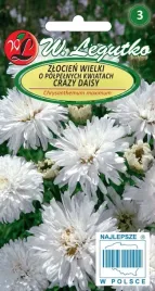 zlocien-crazy-daisy-bialy-nasiona-legutko-2g