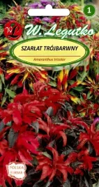 szarlat-trojbarwny-mieszane-liscie-wielobarwne-01g-mix-kolorow-nasiona