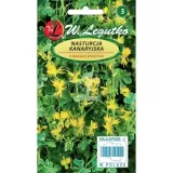 nasturcja-kanaryjska-2g-pnaca