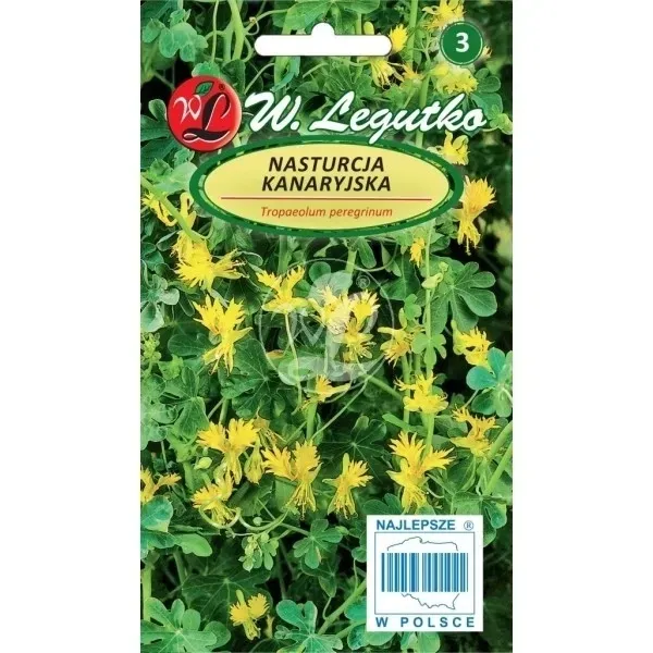 nasturcja-kanaryjska-2g-pnaca