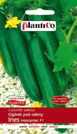 ogorek-ines-f1-1g-srednio-wczesny-odporny-pod-oslony-nasiona-plantico