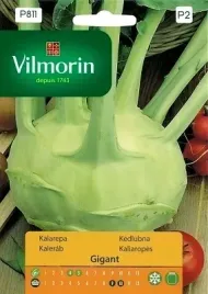 kalarepa-gigant-2g-vilmorin-nasiona-pozna-delikatny-smak-do-2-kg-owoce