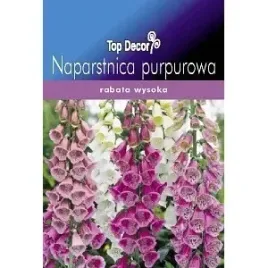 nasiona-kwiatow-naparstnica-purpurowa-800-sztuk
