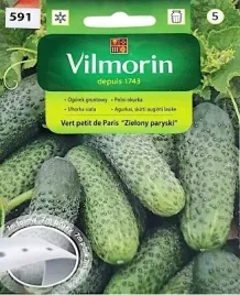 ogorek-na-tasmie-vert-petit-de-paris-7m