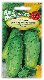 ogorek-borus-4g-dobry-do-kiszenia-i-konserwowania-nasiona-odporny