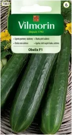 ogorek-gruntowy-obelix-f1-3g-vilmorin-salatkowy-plenny-do-uprawy-w-gruncie