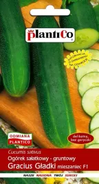 ogorek-gruntowy-gracius-gladki-5g-plantico
