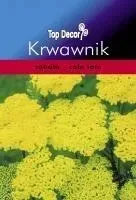 krwawnik-cale-lato-na-rabaty-bylina-top-decor