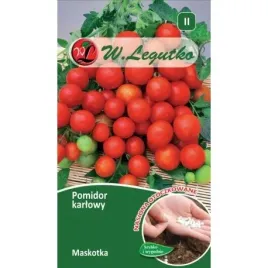 legutko-pomidor-maskotka-otoczka-100szt