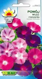 pokoj-wilec-mieszanka-3g-nasiona-toraf-szybko-rosnace-pnacze-mix-kolorow