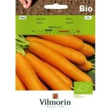 vilmorin-bio-marchew-berlicum2-5g
