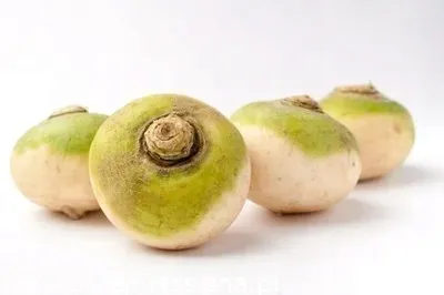 toraf-brukiew-nadmorska-10g