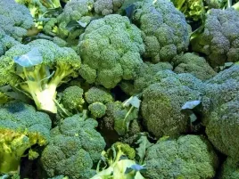 nasiona-brokul-cezar-zielony-srednio-wczesny-legutko-plenny-2g