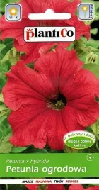 petunia-ogrodowa-rumba-rozowa-005g-nasiona