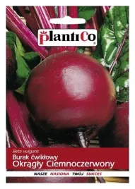 burak-cwiklowy-okragly-nochowski-50g-nasiona-plantico-duze-opakowanie