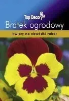 bratek-ogrodowy-zoltoczerwony-200-sztuk-nasiona