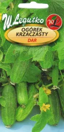 ogorek-dar-krzaczasty-na-balkon-i-do-pojemnikow