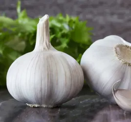 czosnek-zimowy-germidour-500g-ekologiczny-do-sadzenia-i-jedzenia-ladny