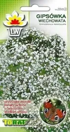 gipsowka-wiechowata-biale-kwiatki-na-bukiety