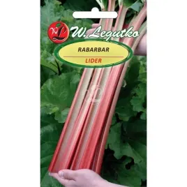 rabarbar-lider-wczesny-intensywny-smak-nasiona-rabarbaru-plenny-soczysty