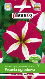 petunia-bialo-czerwona-sawa-005g-plantico-nasiona