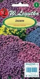 zagwin-mieszanka-kolorow-na-rabaty-skalniaki-wieloletni-nasiona-03g