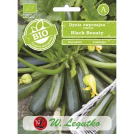 dynia-zwyczajna-cukinia-black-beauty-bio