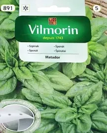 szpinak-matador-nasiona-tasmie-7m-pyszny-i-zdrowy-szybki-wzrost-vilmorin