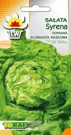 salata-maslowa-syrena-wczesna-nasiona-1g-na-wioseny-siew-bardzo-pyszna
