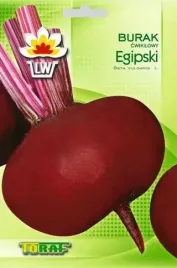 burak-cwiklowy-egipski-d-egipte-nasiona-wczesny-ciemno-czerwony
