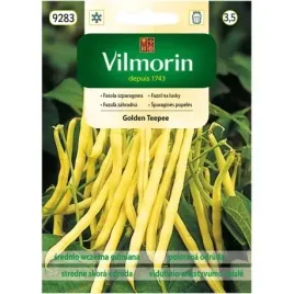 vilmorin-fasola-szparagowa-golden-teepee-30g