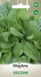 nasiona-szczaw-odporny-na-mroz-vilmorin-2g-nasiona