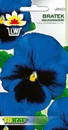bratek-wielkokwiatowy-niebieski-z-czarna-plama-nasiona-bratkow