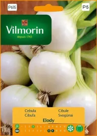cebula-biala-elody-pozna-zimujaca-3g-vilmorin