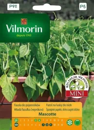 vilmorin-fasola-nasiona-mascotte-do-pojemnikow-20g