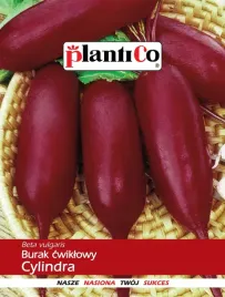 cylindra-burak-cwiklowy-holenderskie-25g