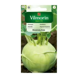 kalarepa-wiedenska-biala-2g-vilmorin-nasiona